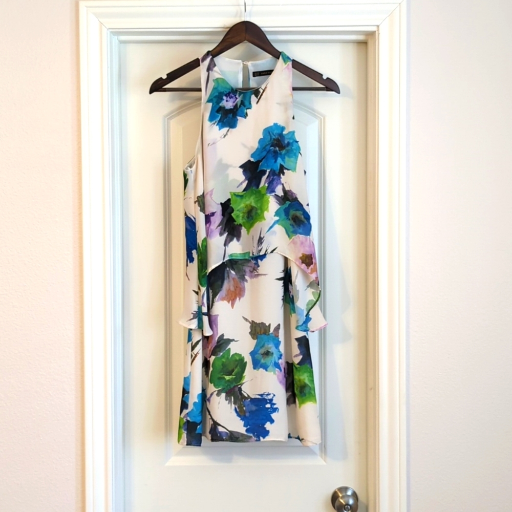 Zara Basic Floral Dress (size XS)